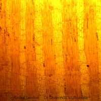 Cassia fistula L.